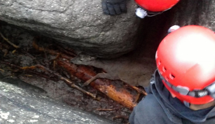 Zaklíněný kolouch