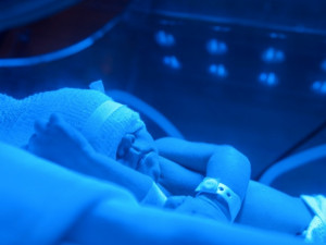 První miminko narozené v Libereckém kraji v roce 2017 se jmenuje Luisa