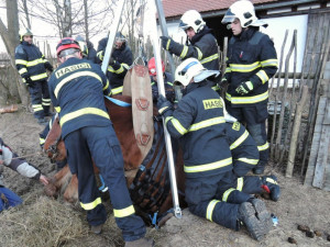 Zoufalého koně uvězněného v jímce zachraňovali hasiči v Jindřichovicích