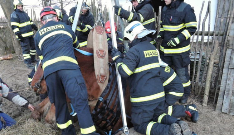 Zoufalého koně uvězněného v jímce zachraňovali hasiči v Jindřichovicích