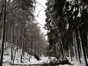 Hasiči vyjížděli během jediného dne ke stovce událostí