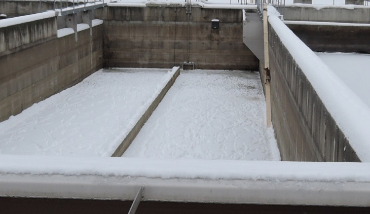 Zatoulaná liška spadal do jímky v čistírně odpadních vod, hasiči ji vytvořili lávku