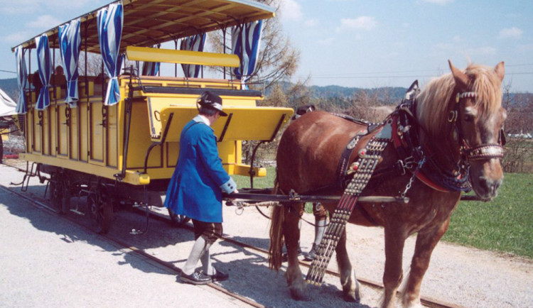 Architekt Radek Vopalecký chce v Budějcích oživit koněspřežku