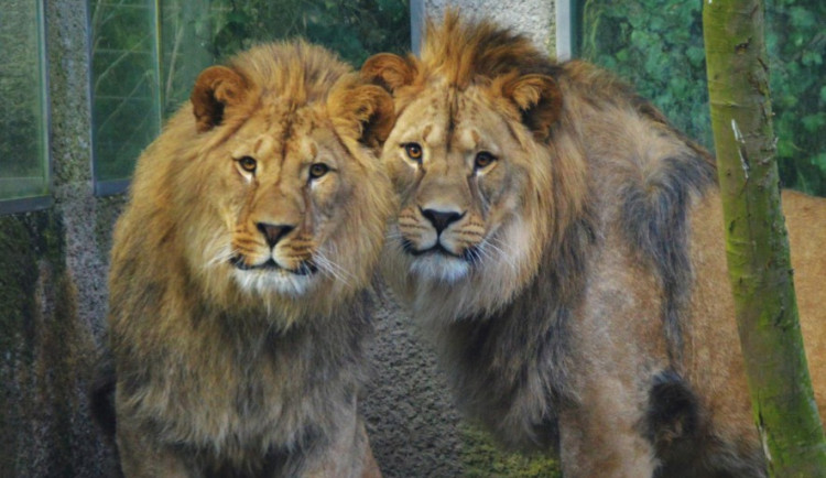 Basty a Terry se rozdělí.