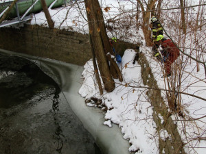 Liberečtí hasič zachránili z koryta Nisy promrzlou srnku