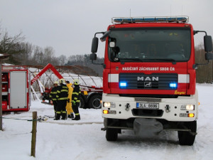 Ptačí chřipka je i v Libereckém kraji. Veterináři zlikvidovali kvůli nákaze malochov v Turnově