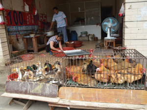 Seriál Z kanclu kolem světa