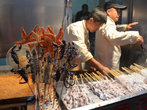 Seriál Z kanclu kolem světa