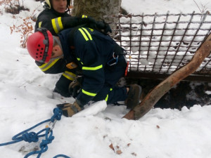 FOTO: Štěně spadlo do osm metrů hluboké štoly. Ven mu pomohli hasiči