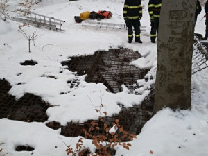 Štěně se propadlo do hluboké štoly.