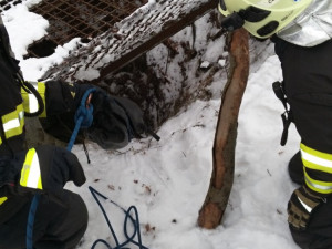 Štěně se propadlo do hluboké štoly.