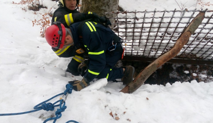 Štěně se propadlo do hluboké štoly.
