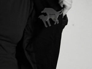 Marcela Kindl Steffanová