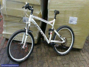 eští i polští policisté naháněli zloděje v kradené dodávce. Zastavila ho až železniční trať