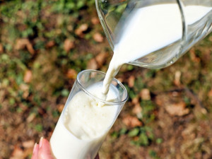 Rostlinné alternativy mléka – méně ingrediencí znamená více