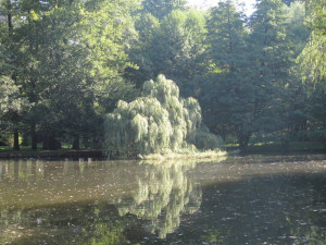 Ve Frýdlantě brzy začne obnova zámeckého rybníku a parku