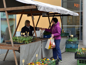 Ovoce, zelenina i bylinky. Farmářské trhy u Fora zahájily sezonu