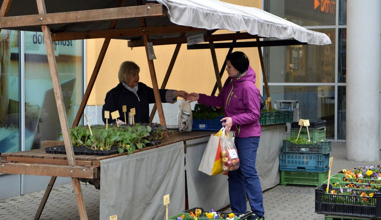 Trhy u Fora zahájily sezonu.