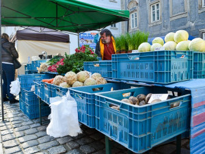 Do horního centra Liberce se po více než 30 letech vrátily trhy