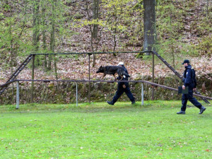 Velká cena Městské policie Liberec