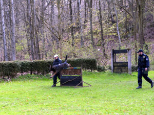 Velká cena Městské policie Liberec