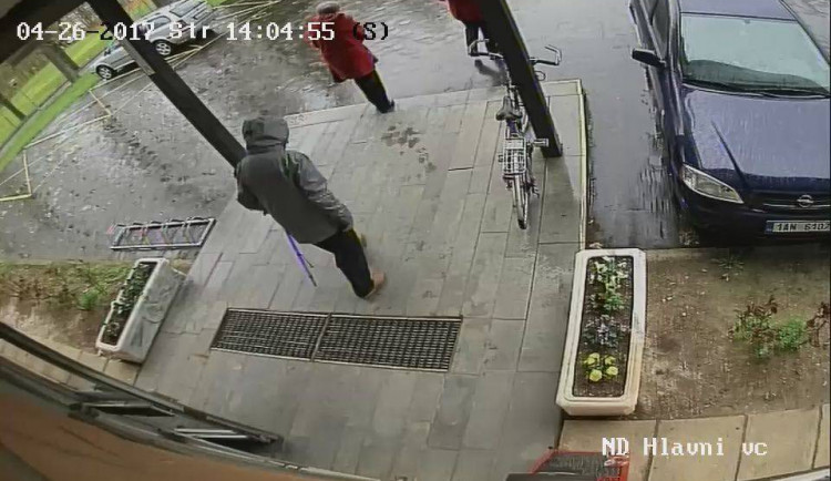 Pohřešovaný senior