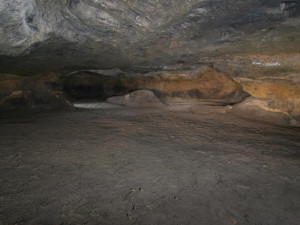 Jeskyně Postojna se v létě na několik dní uzavře. Trpí pod náporem turistů