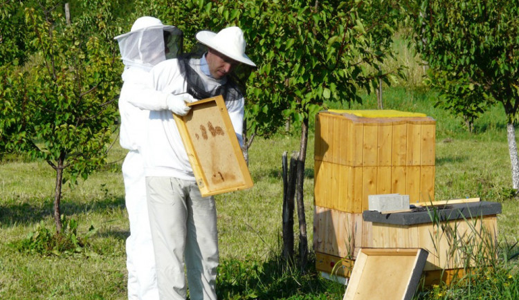 Včelař při práci