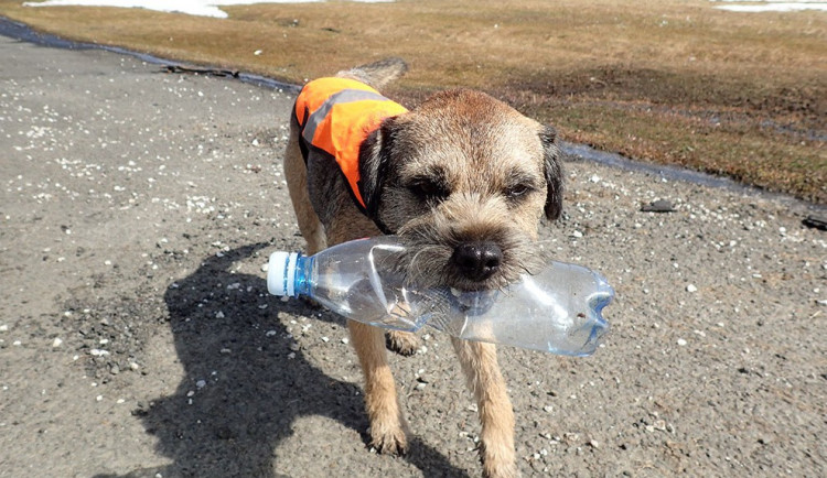 Akce Čisté Krkonoše.
