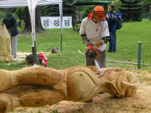 Řezbáři budou s motorovými pilami tvořit sochy v Desné