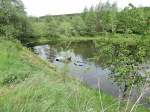 Auto vjelo do rybníka.