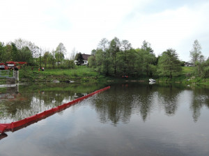 Auto vjelo do rybníka.