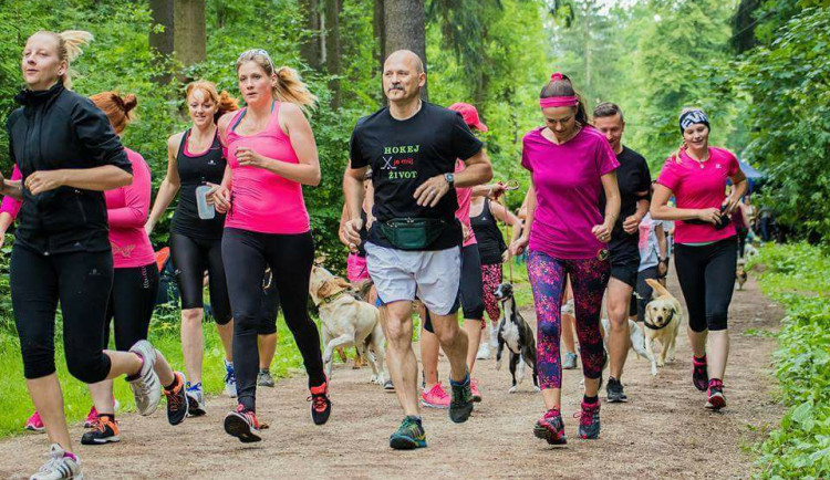 Zaběhejte si a pomozte tak opuštěným zvířatům