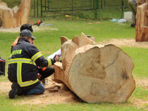 Na sympoziu v Desné řezbáři tvoří koňskou lavičku či anděla