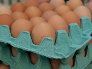 Zjistit původ potraviny je nejsnazší u masa a vajec. Podívejte se jak