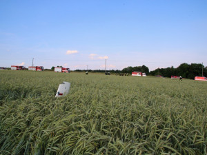 Poblíž Hodkovic nad Mohelkou spadl větroň, pilot se vážně zranil.