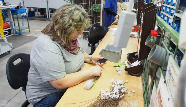 Úplně jiná chráněná dílna. To je Filipa.