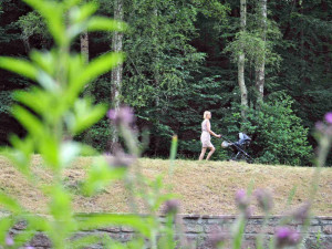 Na Lesák dorazili lidé, které zajímá, jak bude obnovený areál vypadat.