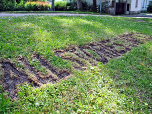 Výstava Objekt v parku Clam-Gallasů