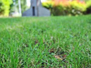 Výstava Objekt v parku Clam-Gallasů