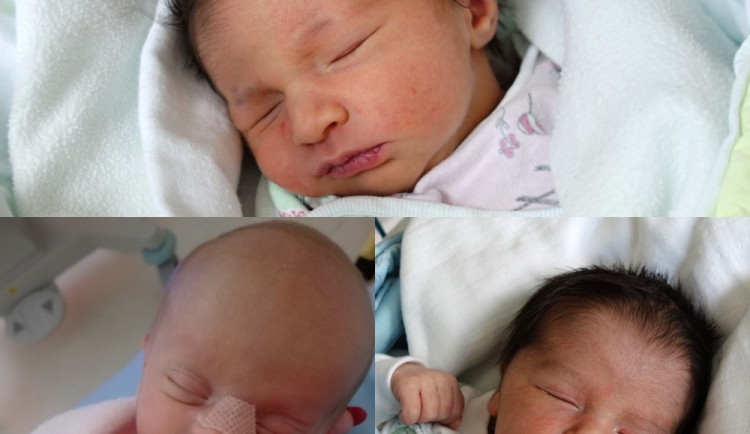 SOUTĚŽ: Hlasujte pro drbňátka za měsíc květen