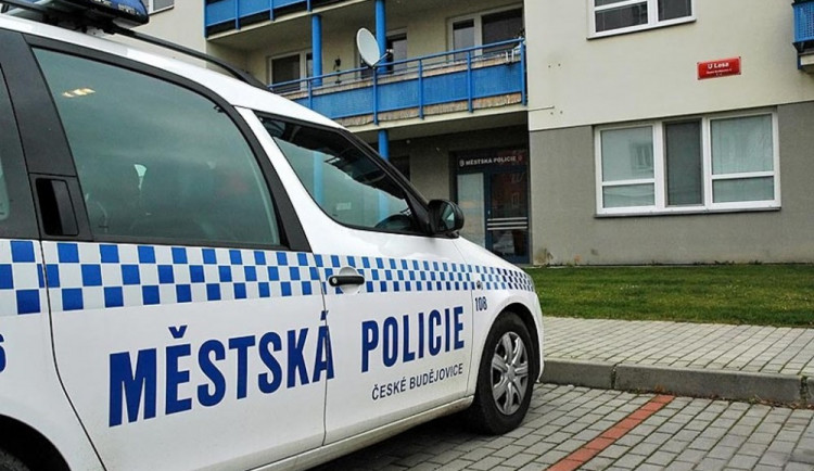 Městská policie řešila zdrogovanou ženu i opilého muže