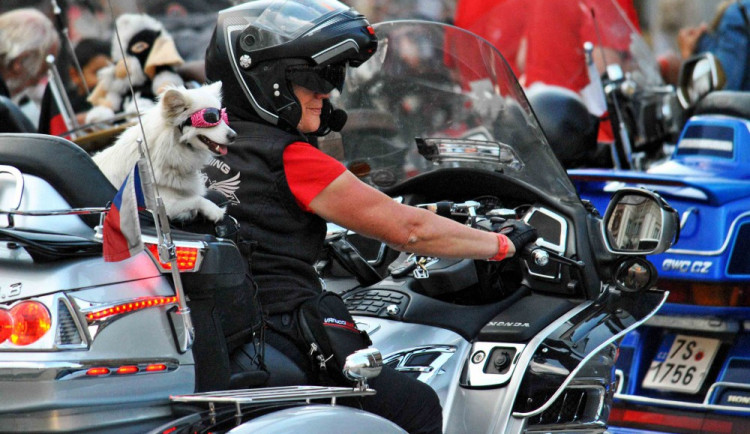 Pasažér jednoho z Gold Wingů.