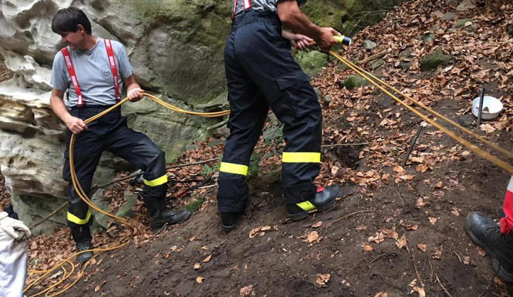 Na místě už sedmý den různé týmy záchranářů bojují o život psa  a lišky.
