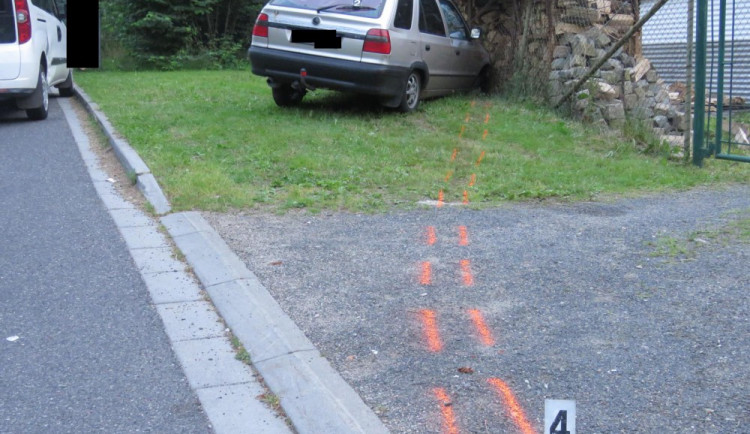 Řidič skončil v přístřešku na dřevo.