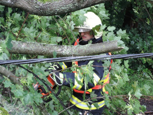 Silný noční vichr lámal stromy. Hasiči vyjížděli k dvaceti případům