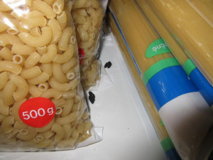 Myší trus, odpad a okousané potraviny. Inspekce zavřela další samoobsluhu.