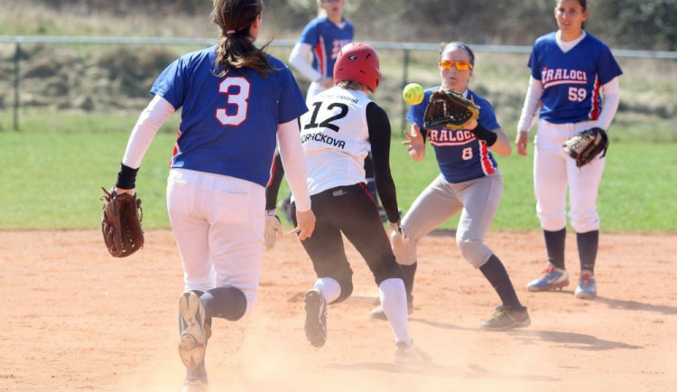 Ledeničtí Žraloci mají první polovinu za sebou. Ženy i muži se drží v extralize vysoko