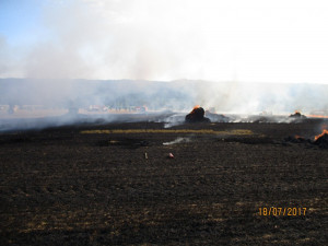 Požár lisu na poli v Sedmihorkách zaměstnal čtyři jednotky hasičů.