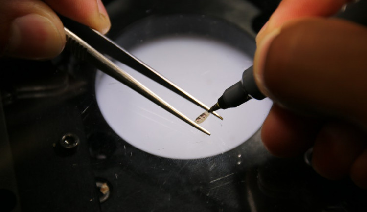 Práce pod mikroskopem.